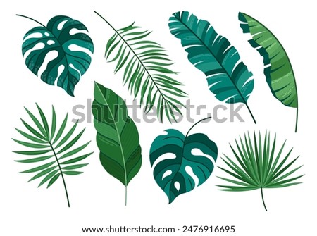 Vector set of tropical leaves. Hawaiian plants set. Wildlife green plants and jungle fresh foliage. Vector elements isolated on a white background. Hello summer set graphic elements in flat design.