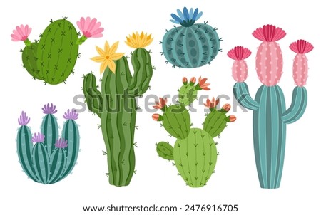 Set of cute cactus and succulents, vector illustration in flat style. Cartoon desert cacti