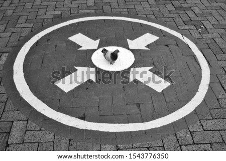 Image, Stock Photo Bird on road sign in front of Elbe river bank landscape
