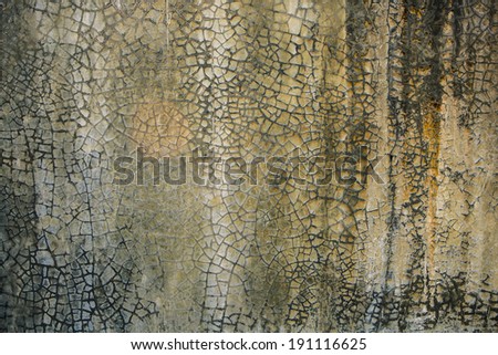cracked wall and fungi