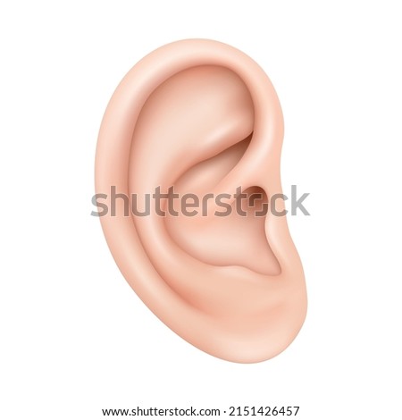 Realistic human ear isolated on white background. Human ear organ hearing health care closeup 3d realistic isolated icon design vector illustration