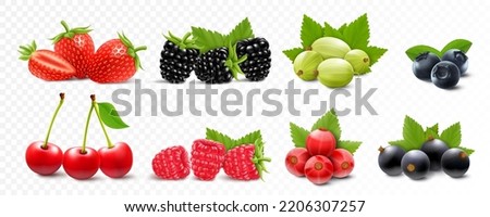 Berries mix – strawberry, raspberry, blackberry, gooseberry, cherry, currant and blueberry with green leaves, isolated on white background. Realistic 3d vector illustration.