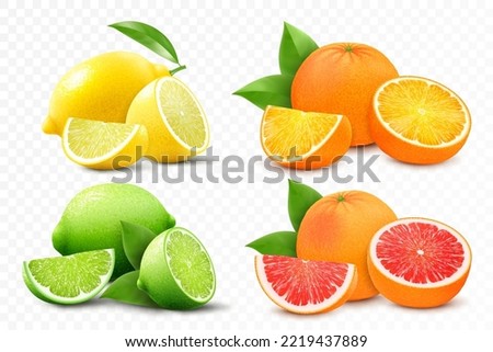 Set of citrus lemon, mandarin, lime, orange, grapefruit - whole, cut half and slices. Fresh sour citrus fruit with vitamins. Realistic 3d vector illustration isolated on white background