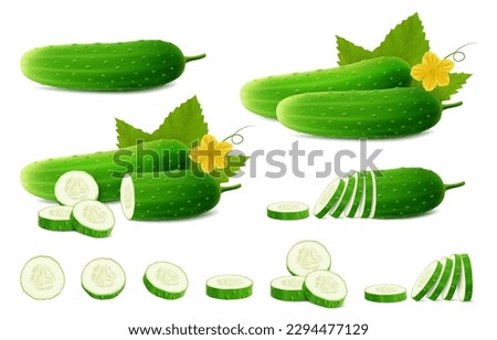 Cucumbers set. Whole fresh cucumber, half, chopped, slices and cucumbers group. Set of cucumber plant parts, leaf, flower. Organic vegetables. Healthy, diet, vegetarian food. Realistic 3d vector illus