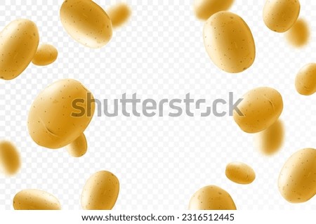 Falling washed raw potatoes, whole vegetables isolated on transparent background, selective focus. Realistic 3d vector illustration