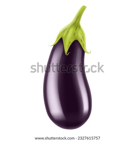 Ripe eggplant. Eggplant isolated on white background close-up. Fresh eggplant from garden. Vegetarian food. Realistic 3d vector illustration.