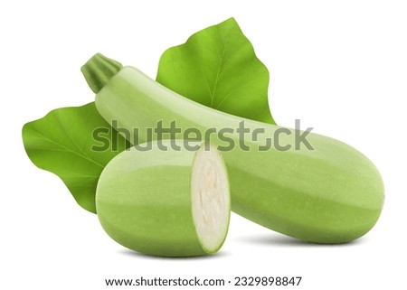 Marrow or zucchini with slices isolated on white background. Whole and chopped vegetable. Realistic 3d vector illustration. Clipping path and full depth of field.