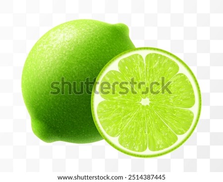 Green lime isolated on transparent background. Whole lime and slice of fruit, vibrant tropical plant, its textured shiny skin concealing zesty citric pulp within. Realistic 3d vector illustration.