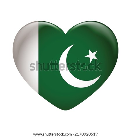 Pakistan flag icon isolated on white background. Pakistan flag. Flag icon glossy.