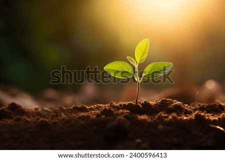 Similar – Image, Stock Photo Environment Nature