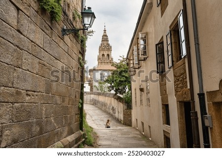 Similar – Image, Stock Photo Murnau / City centre