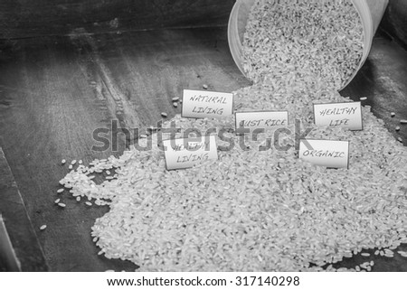 Product shots (black and white): Brown rice, natural, organic and natural food images with signs.