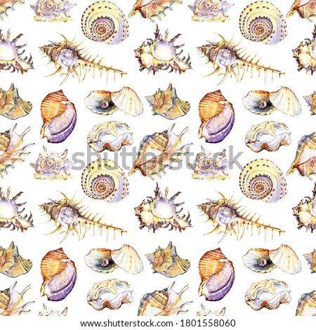 Watercolour colorful sea shells pattern. Conch shell, clam, cockle-shell, fan shell, periwinkle, whelk, sundial, sinistrall shell
