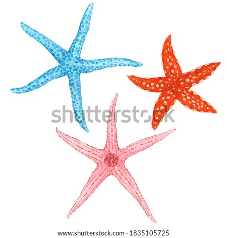 Beautiful set with watercolor starfish. Stock illustration.