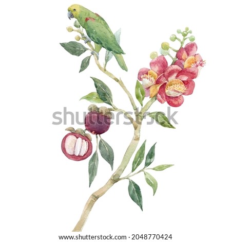 Beautiful tropical floral composition with hand drawn watercolor exotic jungle flowers and parrot. Stock illustration. Clip art.