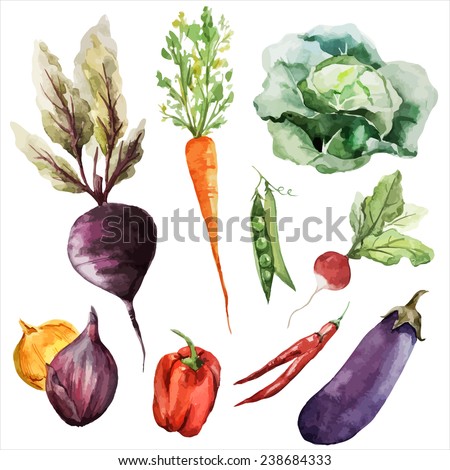 vegetables, food watercolor