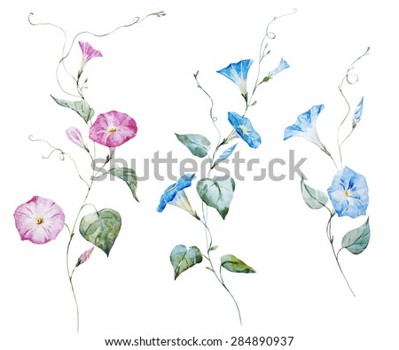 Shutterstock Puzzlepix Shutterstock Puzzlepix