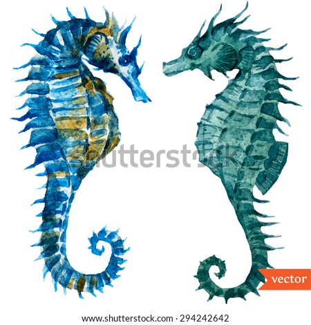 watercolor vector illustration seahorse, vintage pattern beautiful blue seahorse