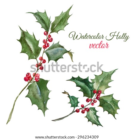 vector watercolor botanical drawing, Christmas arrowhead plant, red berries