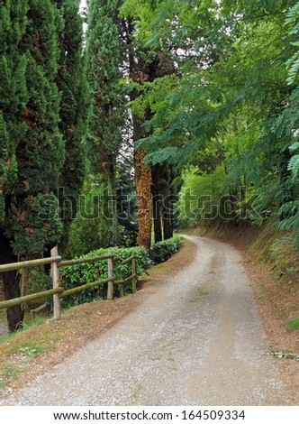 Gravel lane way leads through the forest in Tuscany, Italy