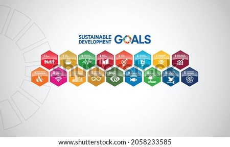 Sustainable Development Colorful hexagonal glossy blocks isolated on white background. Concept for Corporate social responsibility project. Goals for a better world. pattern. Foto stock © 