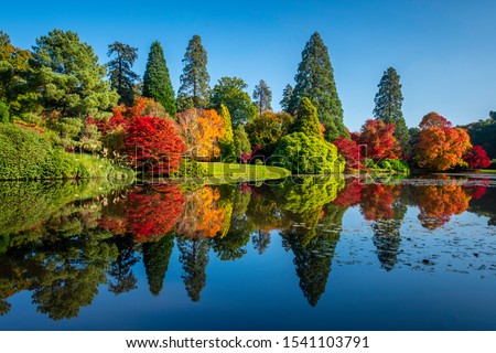 Similar – Image, Stock Photo Autumn landscape with lake and forest