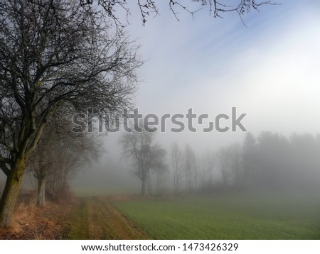 Similar – Foto Bild Herbstnebel liegt über dem Bodensee