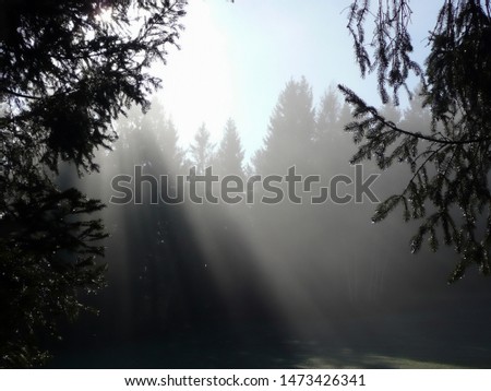 Similar – Foto Bild Herbstnebel liegt über dem Bodensee