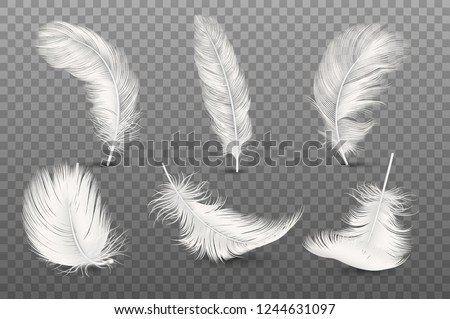 Vector 3d Realistic Different Falling White Fluffy Twirled Feather Set Closeup Isolated on Transparency Grid Background. Design Template, Clipart of Angel or Bird Detailed Feather in Various Shapes
