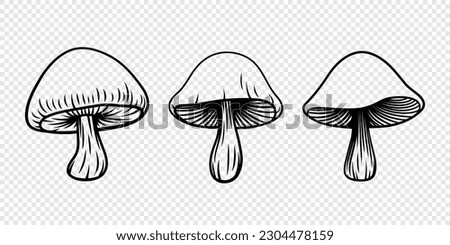 Vector Hand Drawn Cartoon Mushroom with Outline Icon Set Isolated. Mushroom Illustration, Mushrooms Collection. Magic Mushroom Symbol, Design Template