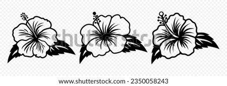 Vector Monochrome Outline Ink Hibiscus. Chinese Rose Set. Floral Design Elements. Hibiscus Flower Linear Black and White Icon, Tattoo. Hibiscus Flowers Isolated