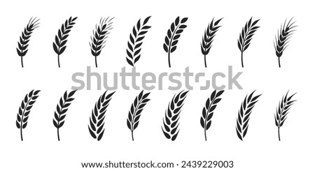 Flat Vector Agriculture Wheat, Cereal Ear Icon Set Isolated. Organic Wheat, Rice Ears. Design Template for Bread, Beer Logo, Packaging, Labels for Farming, Organic Food Concept