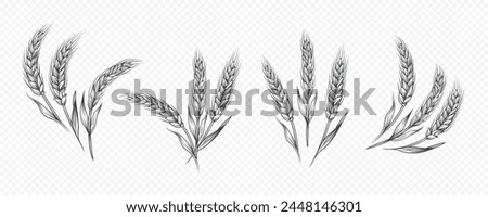 Vector Hand Drawn Agriculture Wheat, Cereal Ear Icon Set Isolated. Organic Wheat, Rice Ears. Grain Ear Design Template for Bread, Beer Logo, Packaging, Labels for Farming, Organic Food Concept