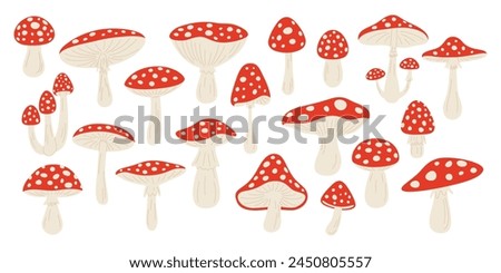 Vector Hand Drawn Cartoon Fly Agaric Mushrooms. Amanita Muscaria, Fly Agaric Illustration, Mushrooms Collection. Magic Mushroom Set, Design Template