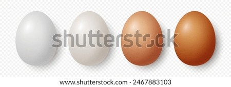 Vector 3d Realistic White and Brown Chicken Eggs Closeup Isolated. Chicken Egg Set. Vector Different Color Whole Eggs. Egg in Front, Top View