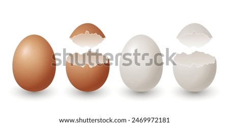 Vector 3d Realistic Brown and White Chicken Eggs. Broken Chicken Egg, Cracked Two Parts, Opened Crack Raw Chicken Egg Closeup Isolated. Vector Eggs Isolated. Half Egg in Front View