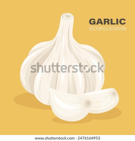 Vector Hand Drawn Garlic Bulb and Cloves Closeup. Vegetable Illustration. Whole Garlic Head and Peeled Garlic Cloves in Flat Style