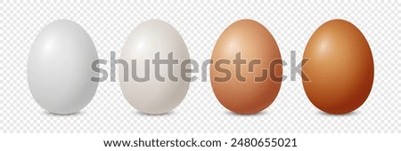 Vector Realistic White and Brown Chicken Egg Icon Set Closeup Isolated. Glossy Chicken Eggs. Vector Different Color Whole Eggs. Front View