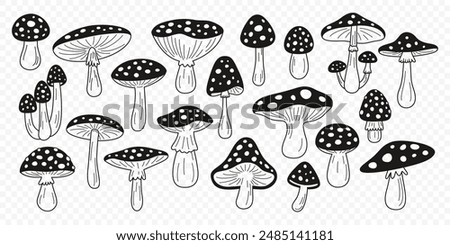 Flat Vector Hand Drawn Black and White Cartoon Fly Agaric Mushrooms Outline Illustration. Amanita Muscaria, Fly Agaric Illustration, Mushrooms. Magic Mushroom Icons, Design Template