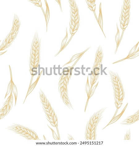 Vector Seamless Pattern with Agriculture Wheat, Cereal Ears. Organic Wheat, Rice Ears. Grain Ear Design Template for Bread, Beer Packaging, Farming, Organic Food Concept