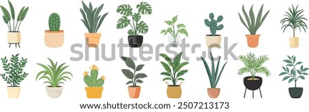 Cute Indoor Plants, Flat Vector Set. House Plants in Ceramic Pots, Cups, Basket Planters. Decorative Indoor Plant Collection Isolated on White. Colorful Houseplant Design Illustration