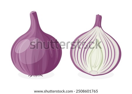 Flat Vector Cartoon Purple Onion Whole, Halved. Hand Drawn Fresh Onion. Vegetable Illustration. Onion Clipart, Icon Closeup Isolated on White Background. Food Design, Healthy Cooking Ingredient