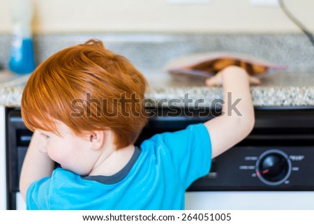 Young boy reaching for a snickerdoodle cookie in his kitchen. Photo taken in a home in Reno, Nevada, USA using natural window light.