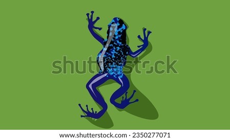 Blue poison dart frog, high quality vector