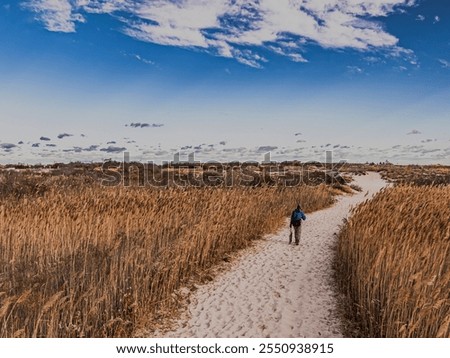 Similar – Foto Bild Sandstrand zwischen langen Klippen am Meer