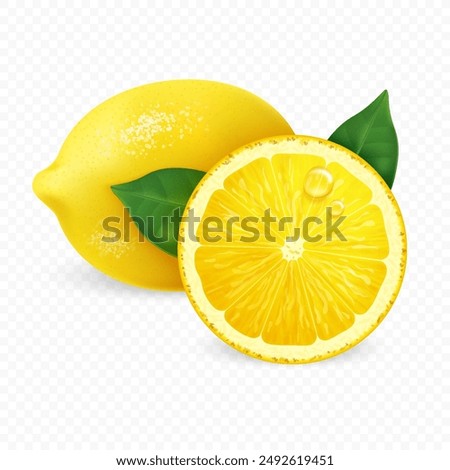 Vector realistic lemon with leaves and water drops on transparent background. Whole and a slice of fresh citrus.