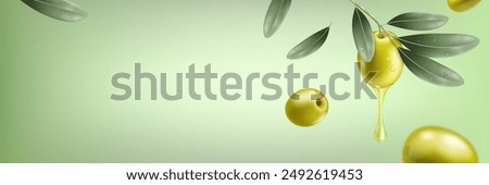 Realistic olive branch with oil drop and falling olives and leaves on green background.