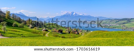 Similar – Image, Stock Photo Alpine meadow with yellow flowers in mountains