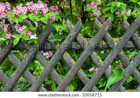 Wooden rhomboid pattern fence with green and flowers