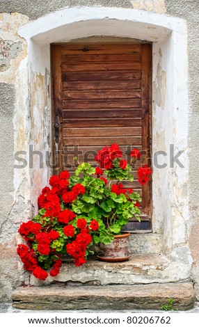 Red roses decorating front of old wooden door